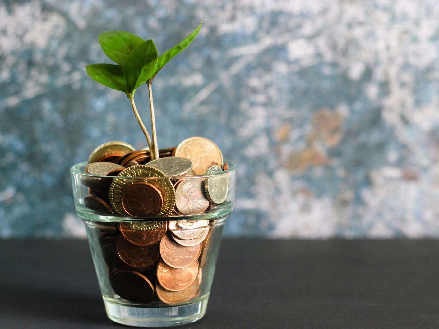 Plant growing out of a glass jar containing coins